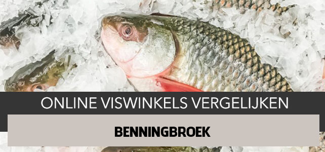 bestellen bij online visboer Benningbroek