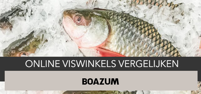 bestellen bij online visboer Boazum