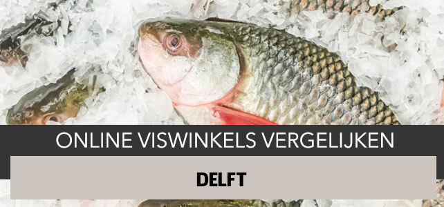 bestellen bij online visboer Delft
