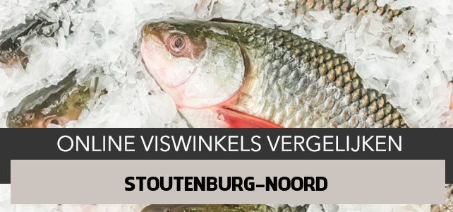 bestellen bij online visboer Stoutenburg Noord