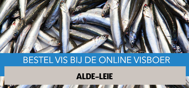 Vis bestellen en laten bezorgen in Alde Leie