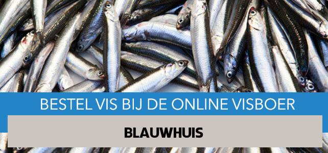 Vis bestellen en laten bezorgen in Blauwhuis