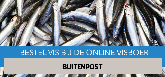 Vis bestellen en laten bezorgen in Buitenpost