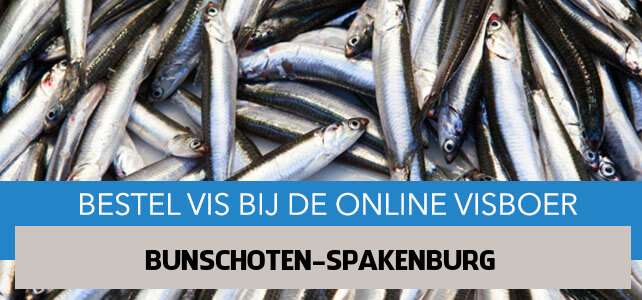 Vis bestellen en laten bezorgen in Bunschoten-Spakenburg