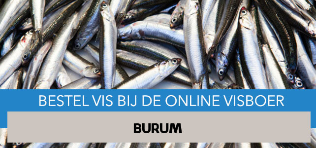 Vis bestellen en laten bezorgen in Burum