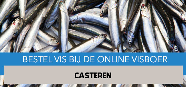 Vis bestellen en laten bezorgen in Casteren