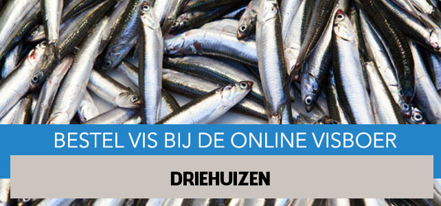 Vis bestellen en laten bezorgen in Driehuizen