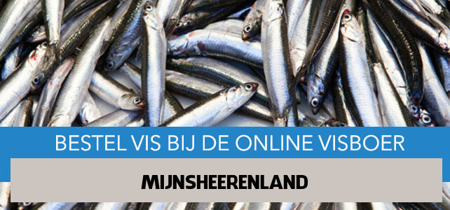 Vis bestellen en laten bezorgen in Mijnsheerenland