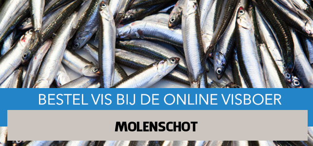 Vis bestellen en laten bezorgen in Molenschot