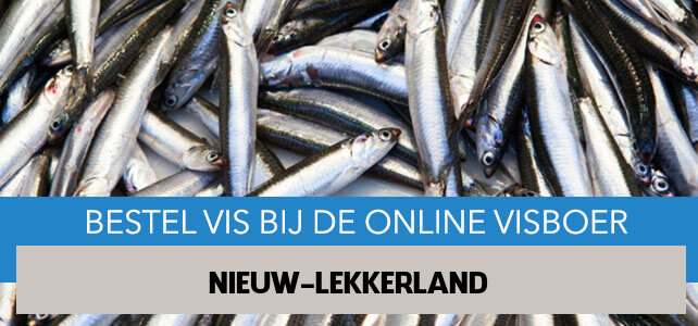 Vis bestellen en laten bezorgen in Nieuw-Lekkerland