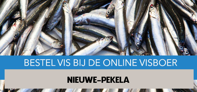 Vis bestellen en laten bezorgen in Nieuwe Pekela