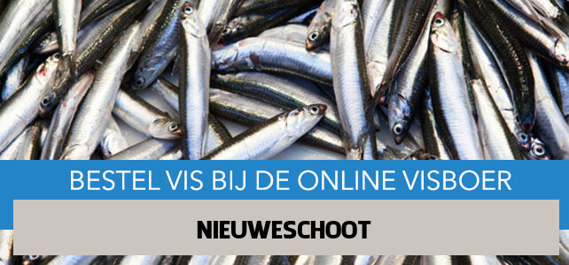 Vis bestellen en laten bezorgen in Nieuweschoot