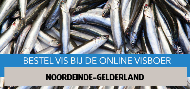 Vis bestellen en laten bezorgen in Noordeinde Gelderland
