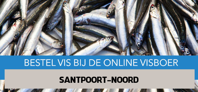 Vis bestellen en laten bezorgen in Santpoort-Noord
