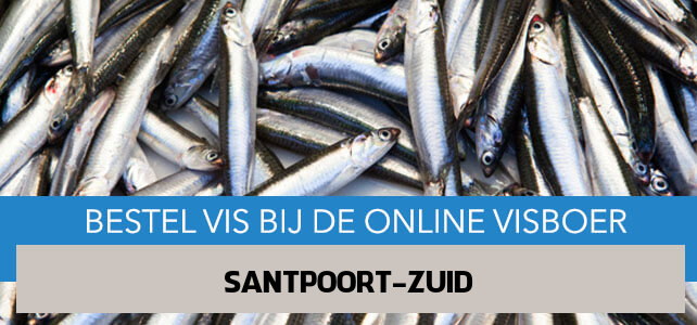 Vis bestellen en laten bezorgen in Santpoort-Zuid