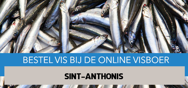 Vis bestellen en laten bezorgen in Sint Anthonis