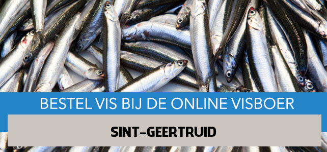 Vis bestellen en laten bezorgen in Sint Geertruid