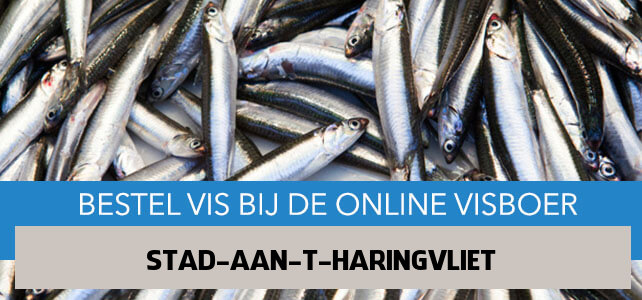 Vis bestellen en laten bezorgen in Stad aan 't Haringvliet